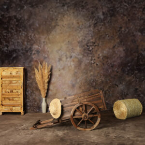 Boho Cart Backdrop