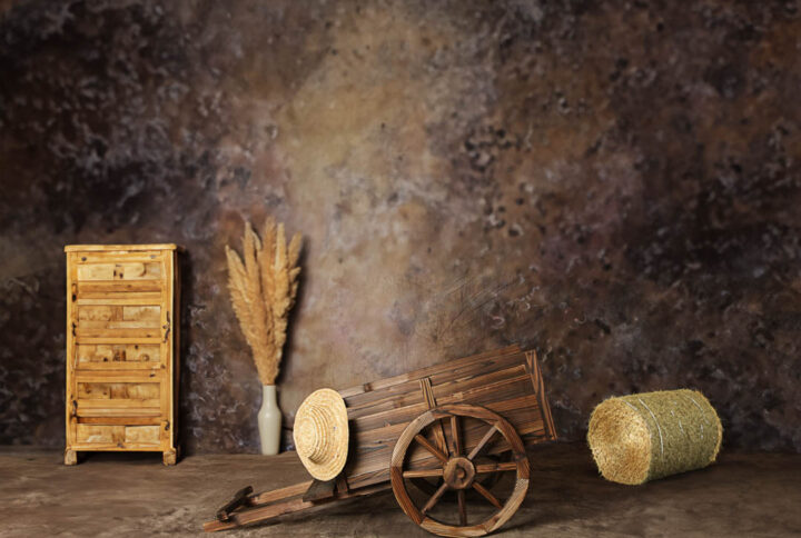 Boho Cart Backdrop