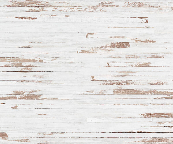 Wood Floor Theme Backdrops for Kids-Photography