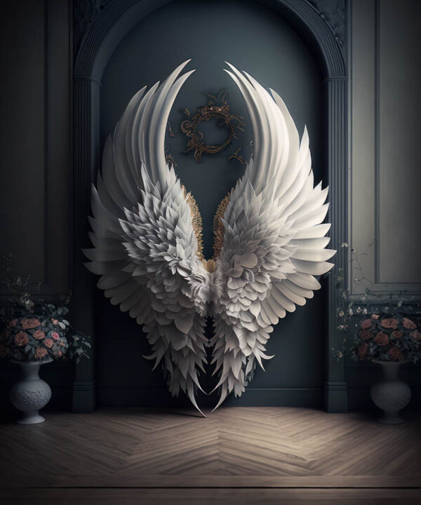 Angel Wings Backdrop for Maternity/Fashion