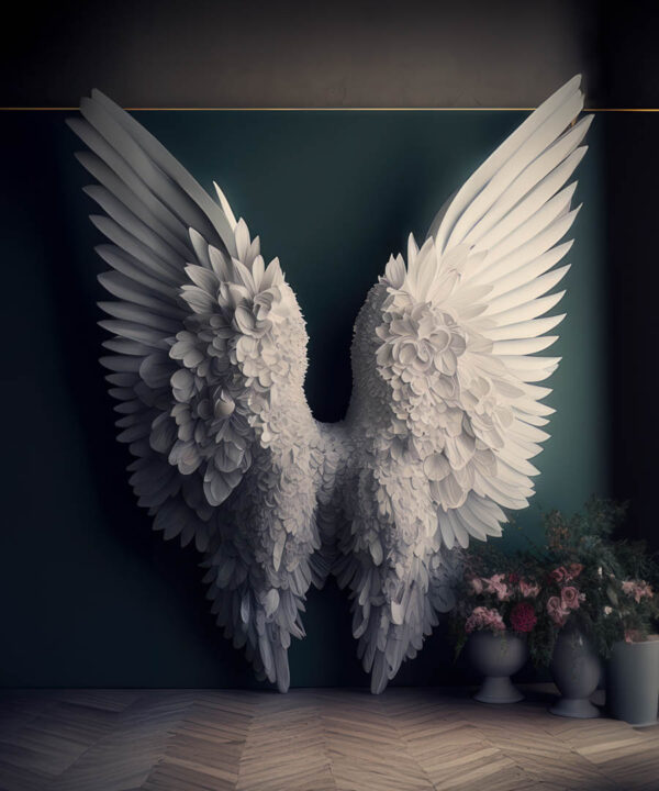 Angel Wings Backdrop for Maternity/Fashion