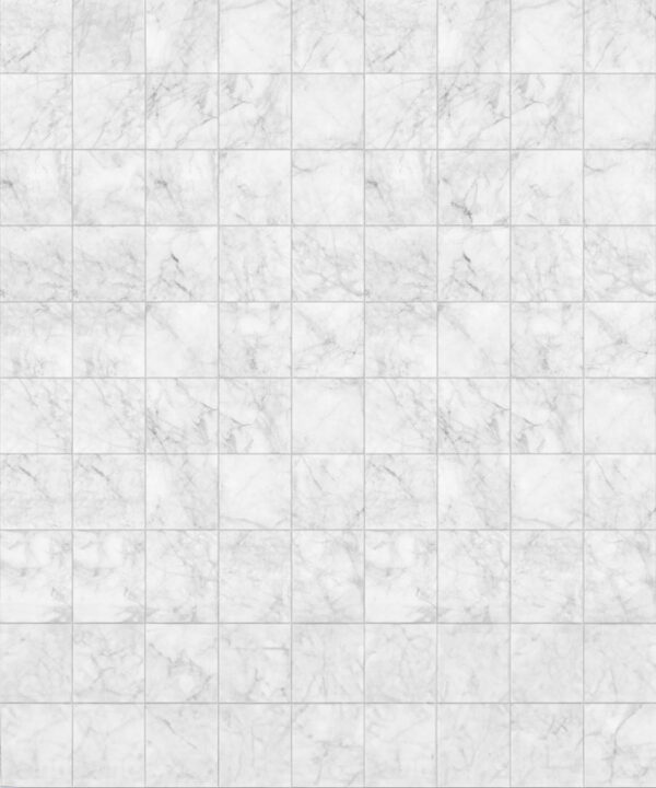 Marble Tiles Backdrop