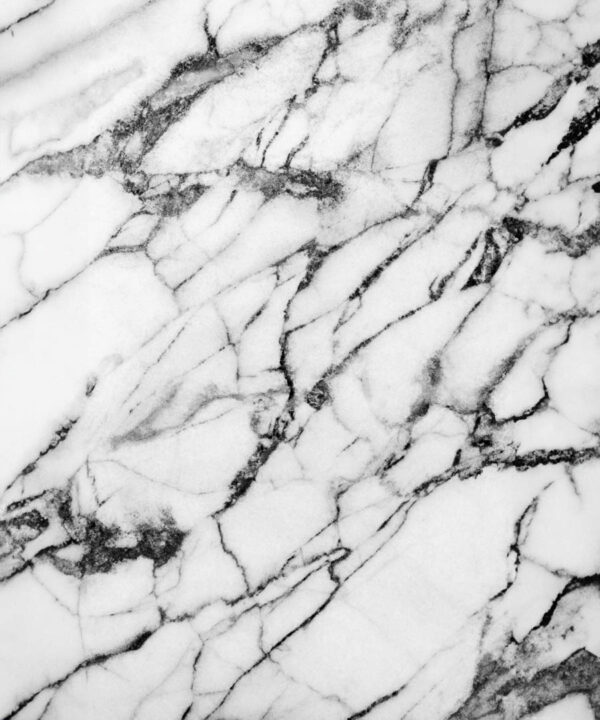 White Marble Backdrop