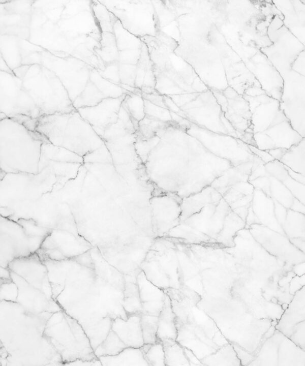 White Marble Tile Backdrop