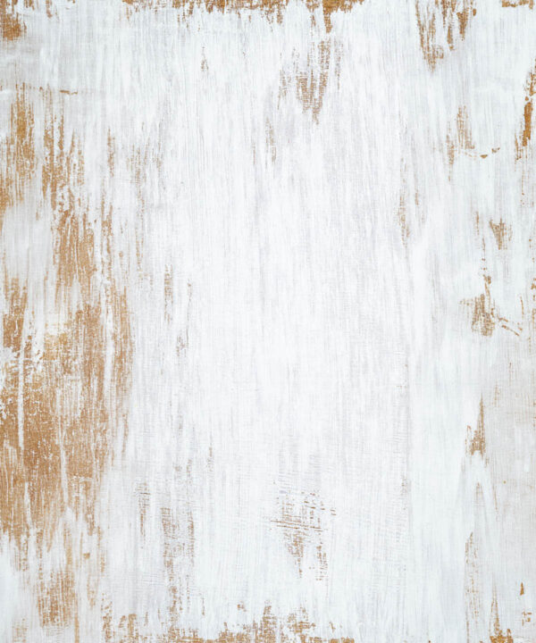 Rustic White Wood Plank Backdrop