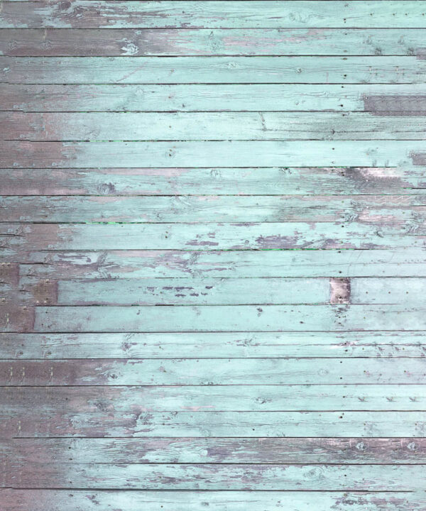 Rustic Sea BLue Wood Backdrop