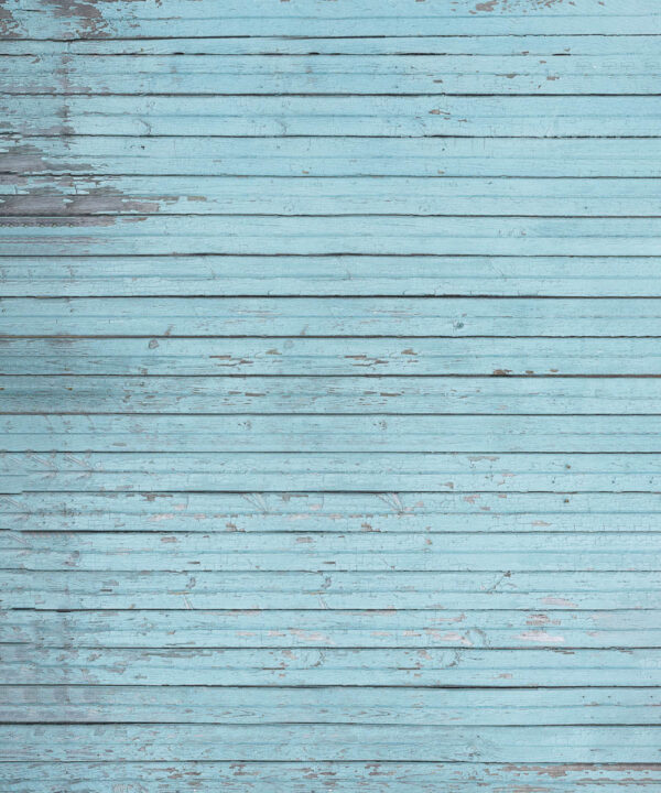 Rustic Sea BLue Wood Backdrop