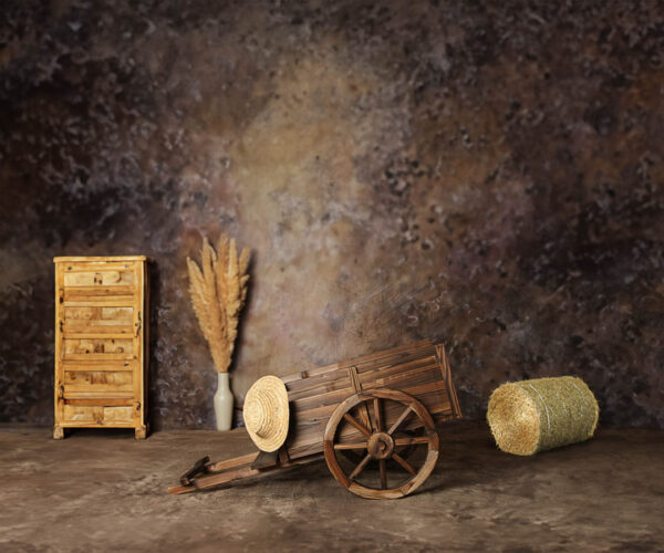 Boho Cart Theme Backdrops for Kids-Photography