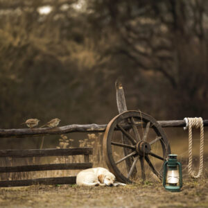 Vintage Village Backdrop