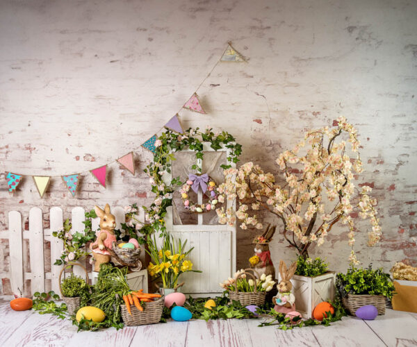 Boho Den Theme Backdrops for Kids-Photography