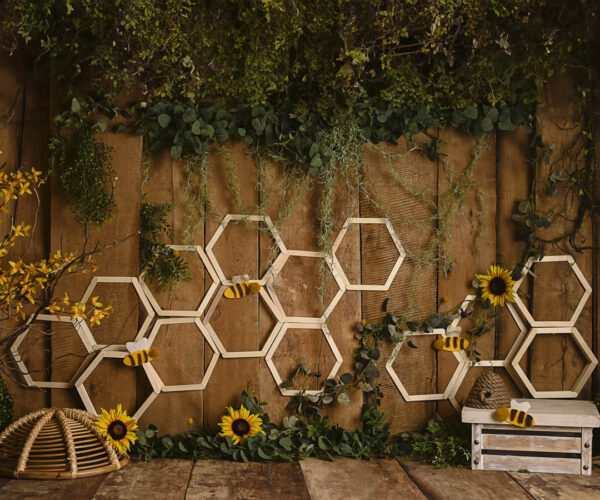 HoneyBee Theme Backdrops for Kids-Photography