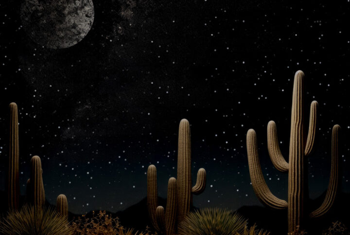 Cactus Moon Theme Backdrop.